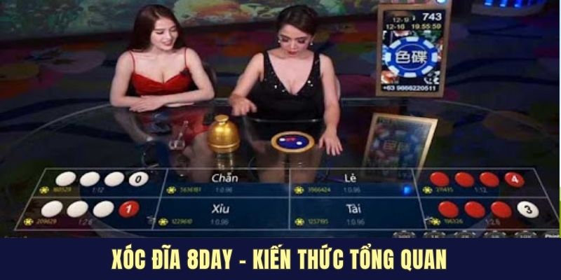 Lưu ngay kiến thức cơ bản trong Xóc đĩa