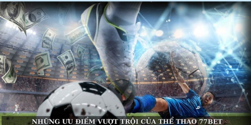 Tennis – bộ môn thu hút hàng nghìn bet thủ tham gia mỗi ngày